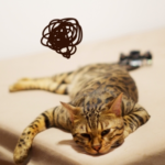 なぜやる気が出ないのかその原因とやる気が出ない時の対処法