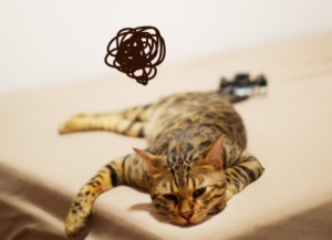 なぜやる気が出ないのかその原因とやる気が出ない時の対処法